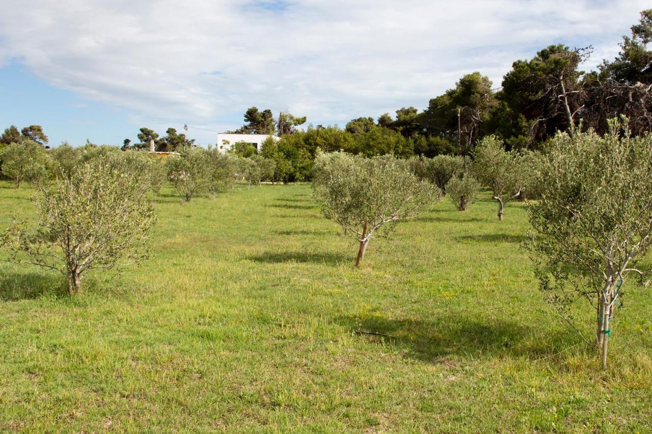 Villa Rosemary Park Zadar Exteriör bild