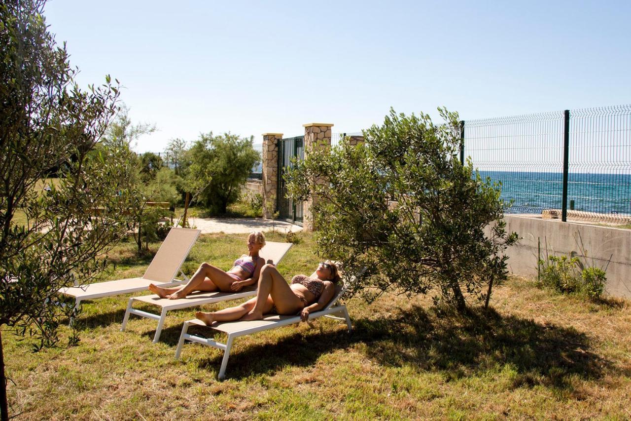 Villa Rosemary Park Zadar Exteriör bild