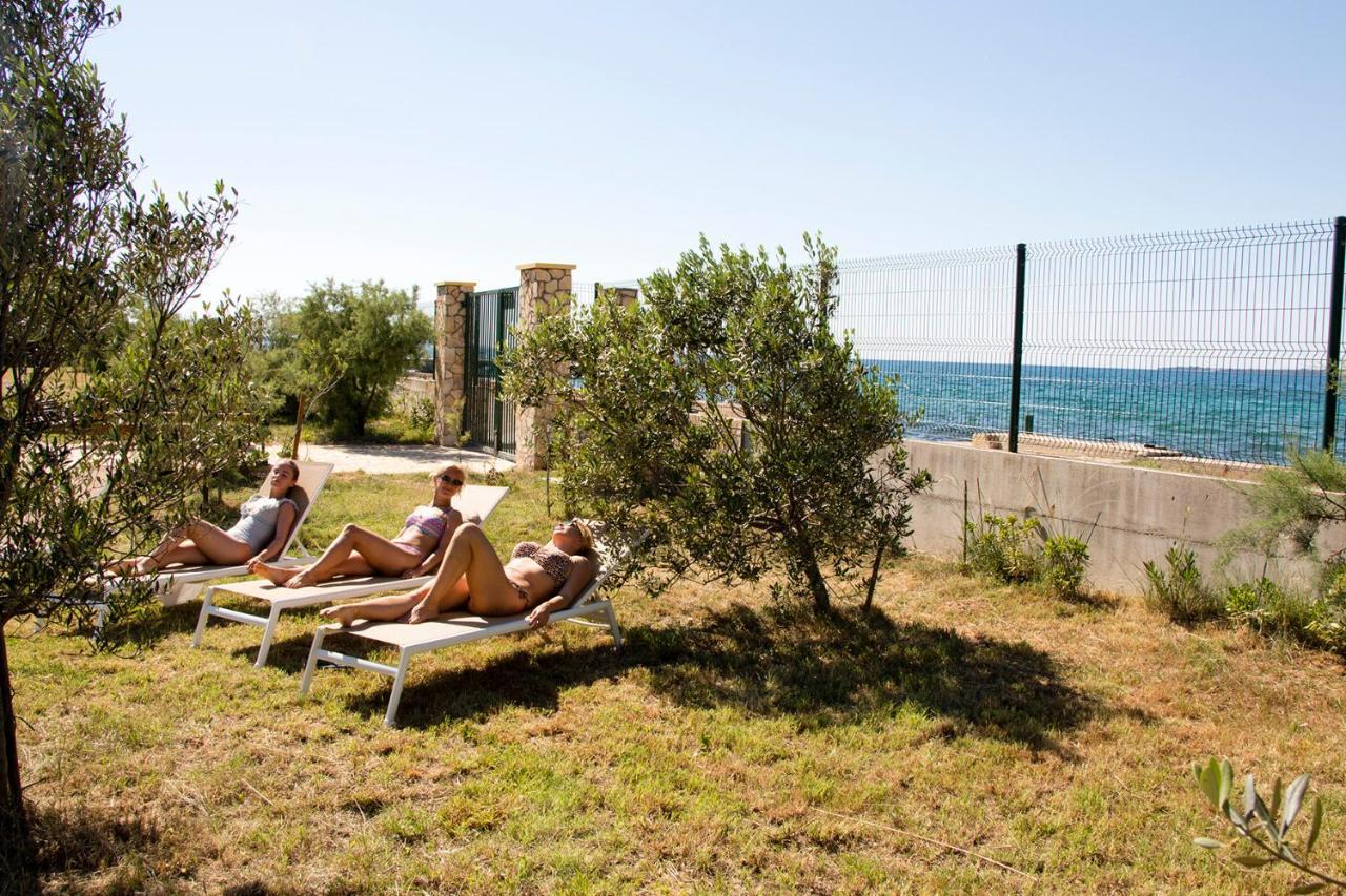 Villa Rosemary Park Zadar Exteriör bild