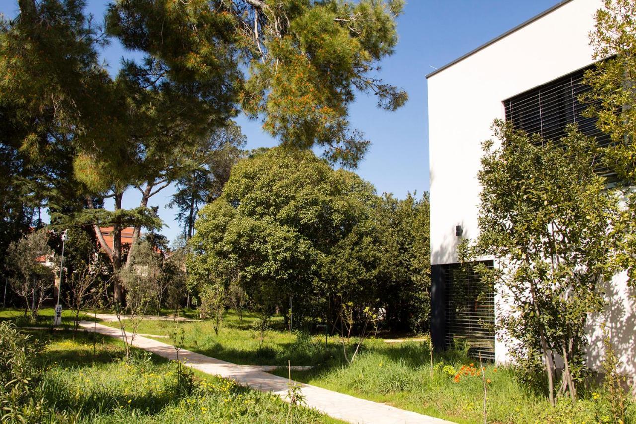 Villa Rosemary Park Zadar Exteriör bild